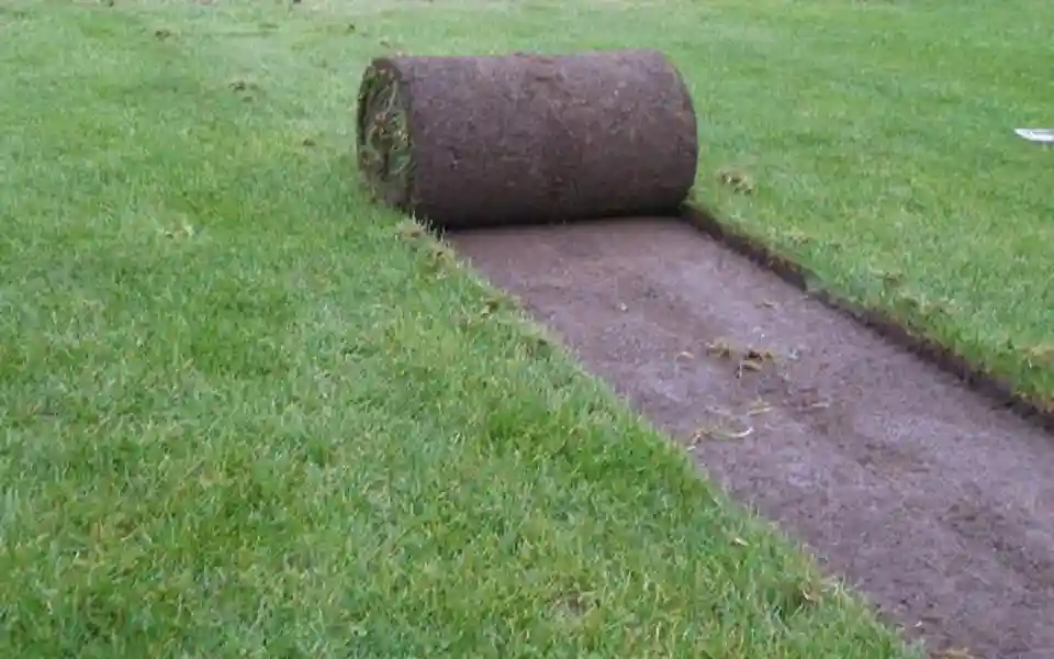 High-quality sod grass rolls installation in Overland Park, KS